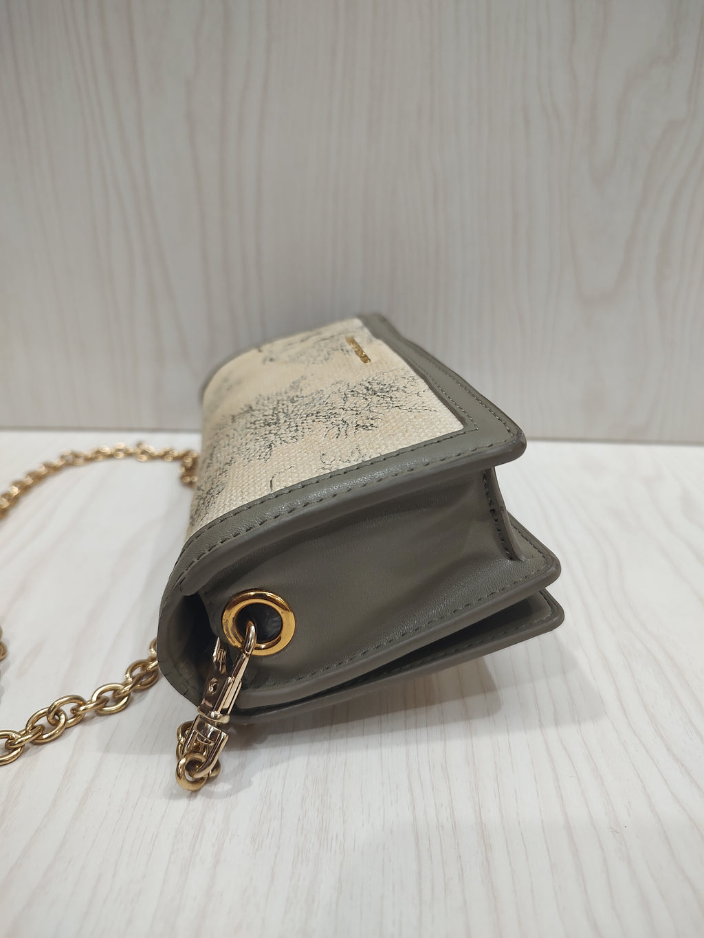 Romantic Toile de Jouy Chain Wallet Bag 🌿